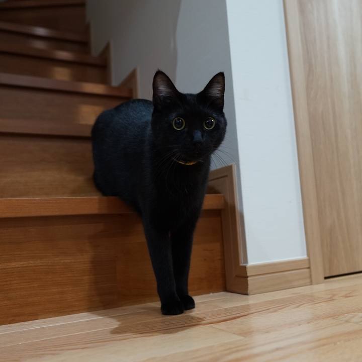 2b44836b 05f2 4e6f 98d6 c8ed54107362 1543275271324