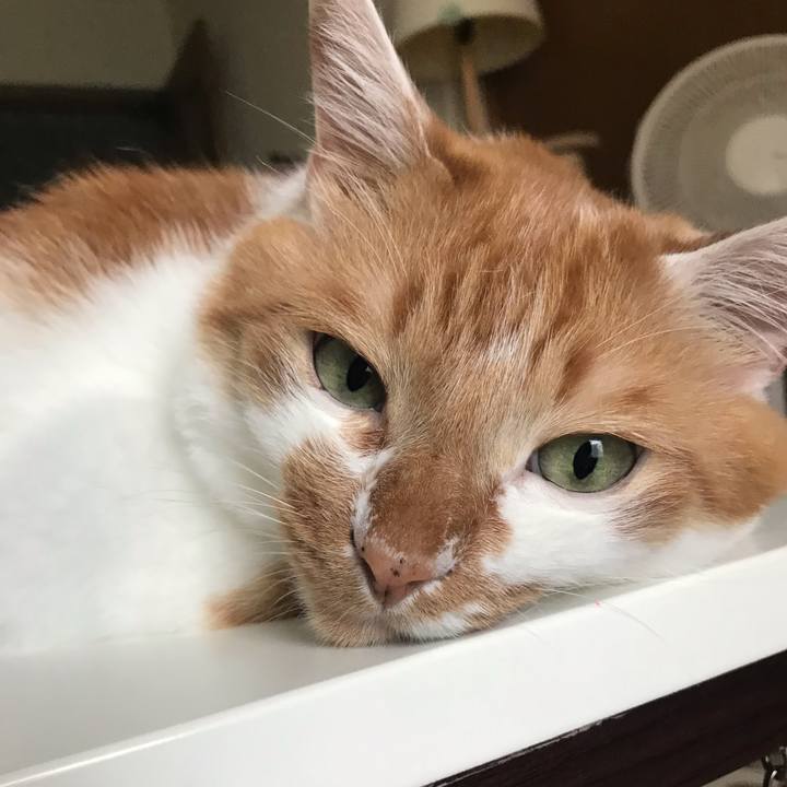 2b448d6a 0897 414b a031 24f8361581f1 1564442286835