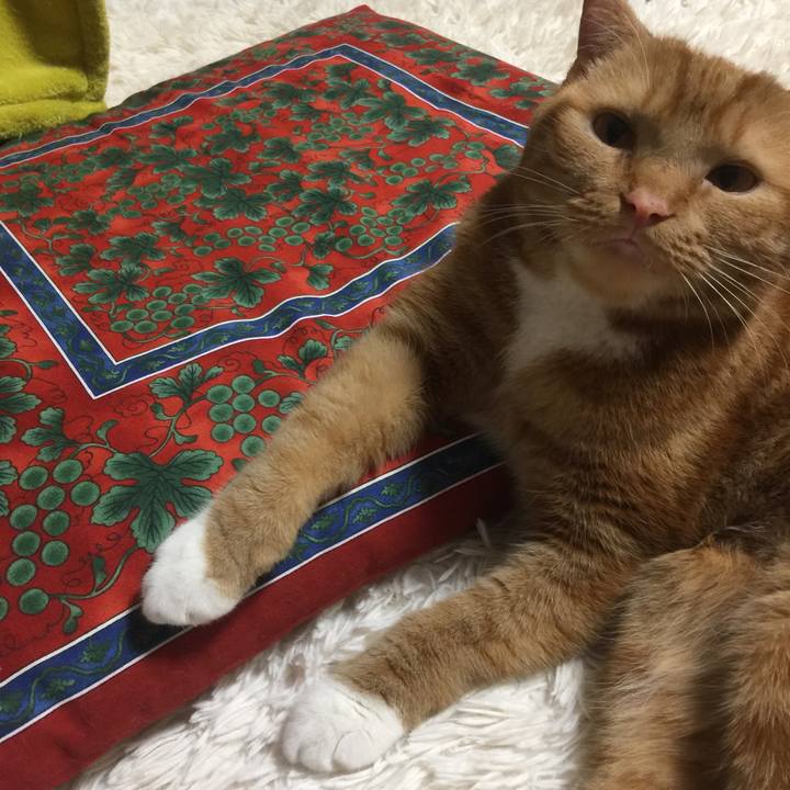 2b44c7df 40de 43e3 b697 8b1d209a444a 1537828914043