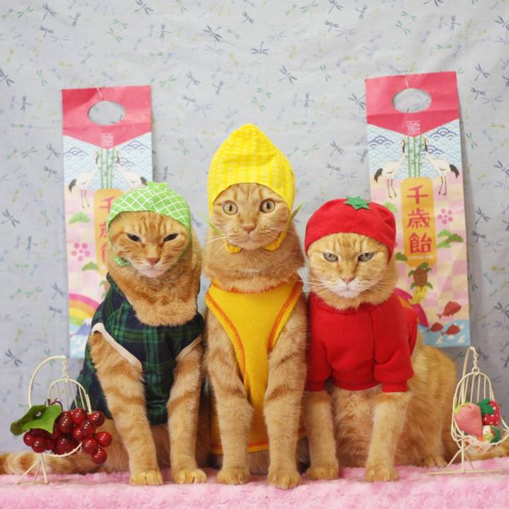 2b44d2be e35e 4a99 a923 d0c8b29463bd 1668498740434