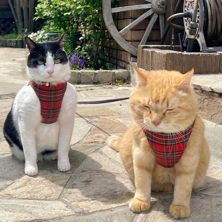 2b44e172 02f4 47c1 9a16 a20fa662af47 1745827257188