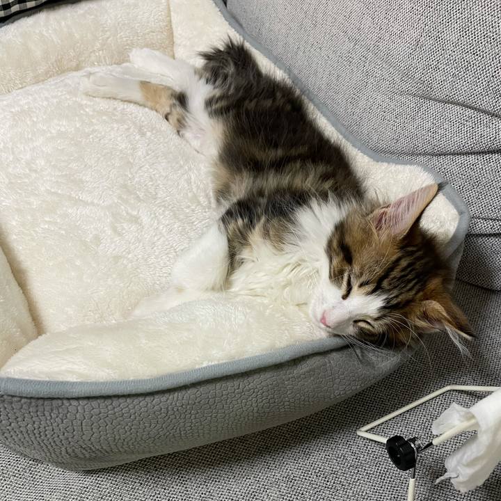 2b4519ca 6f39 49e1 ac67 354f4aed4216 1632223917971