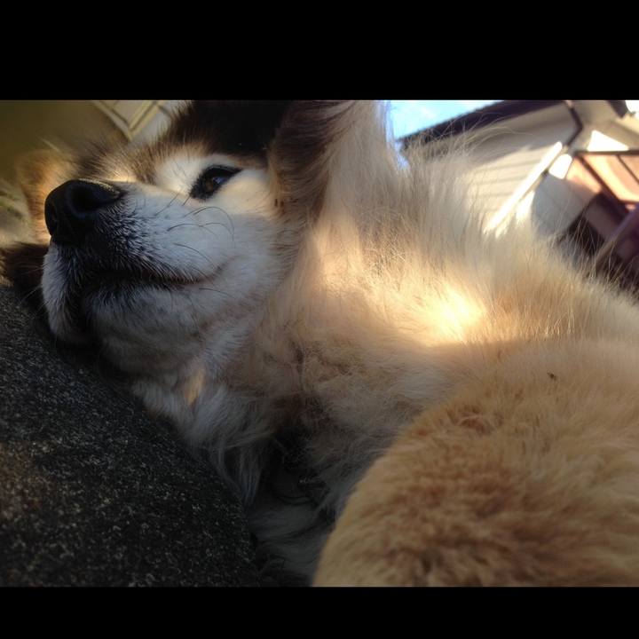 2b451e5e 3f31 4c39 927b 50170089fefe 1642060264704