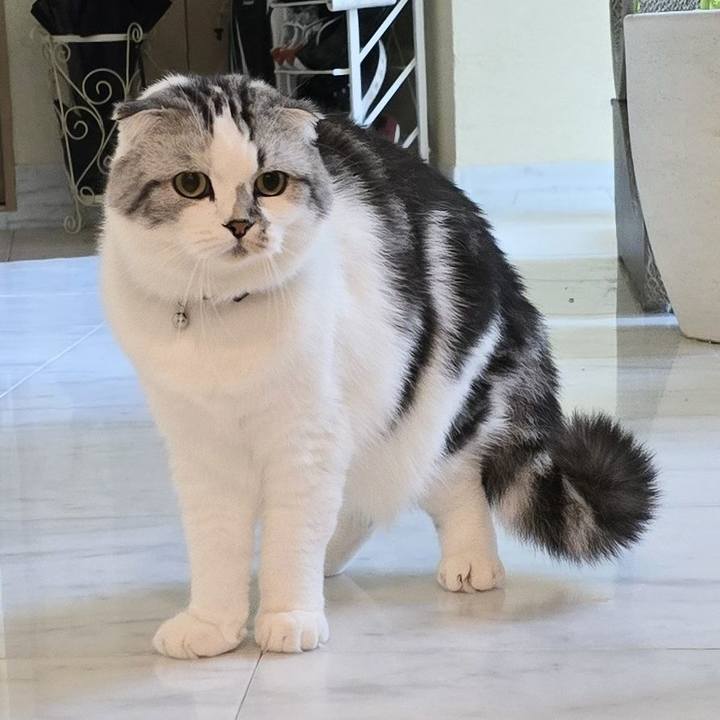 2b454813 97e4 45c5 8d9e 126b7c6d1703 1730241174672