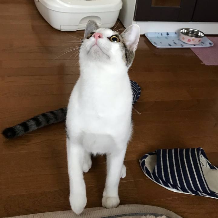 2b456b61 6200 4519 94c7 d5a48dbf6f6f 1539597711552