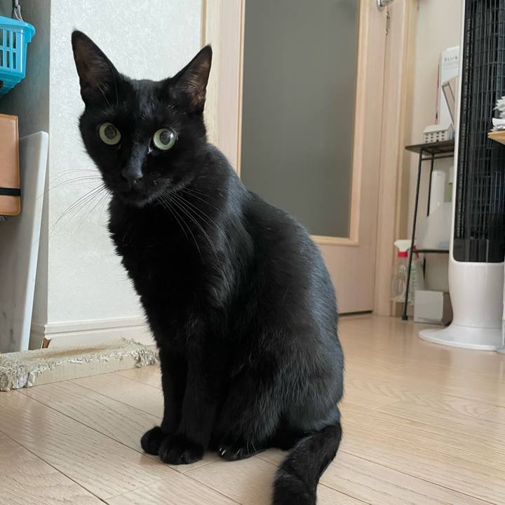 2b457b53 c6e6 41e8 8766 a237da48048f 1762673750328