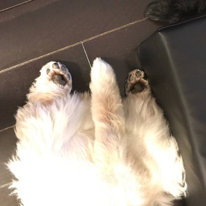 2b45ae45 5ef2 4099 b2fd ee7e556ea640 1533732153903