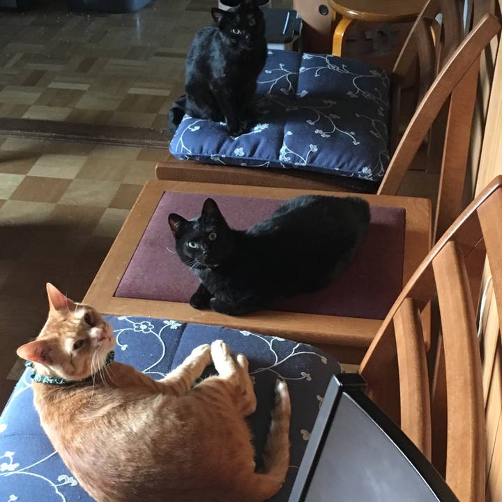 2b45c125 edd8 488b 88ee ccc96c674cc4 1534939748440