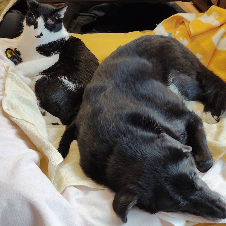 2b45d92c a414 4549 8915 5c09be1da39b 1771809649206