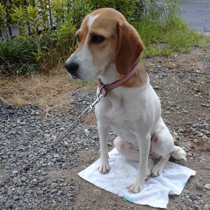 2b4621e4 8d4e 48c9 9df6 ceb9db89c24f 1594171979762