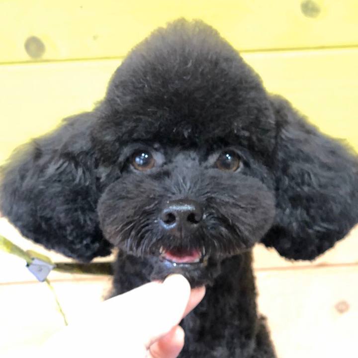 2b462299 64bf 4bb2 962e f89e231d2baf 1574483590745