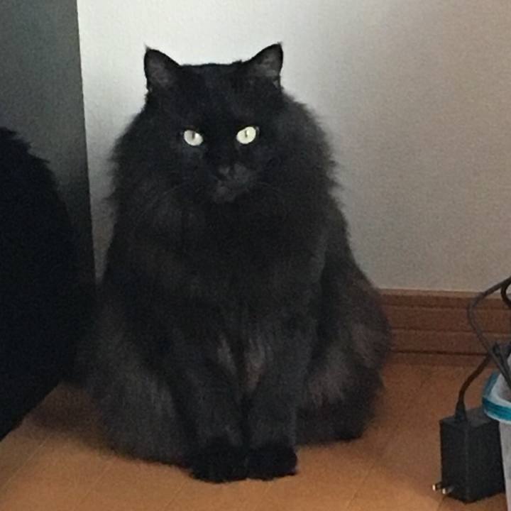 2b463f22 c46a 4841 8dad 7934f68ee787 1549294301463