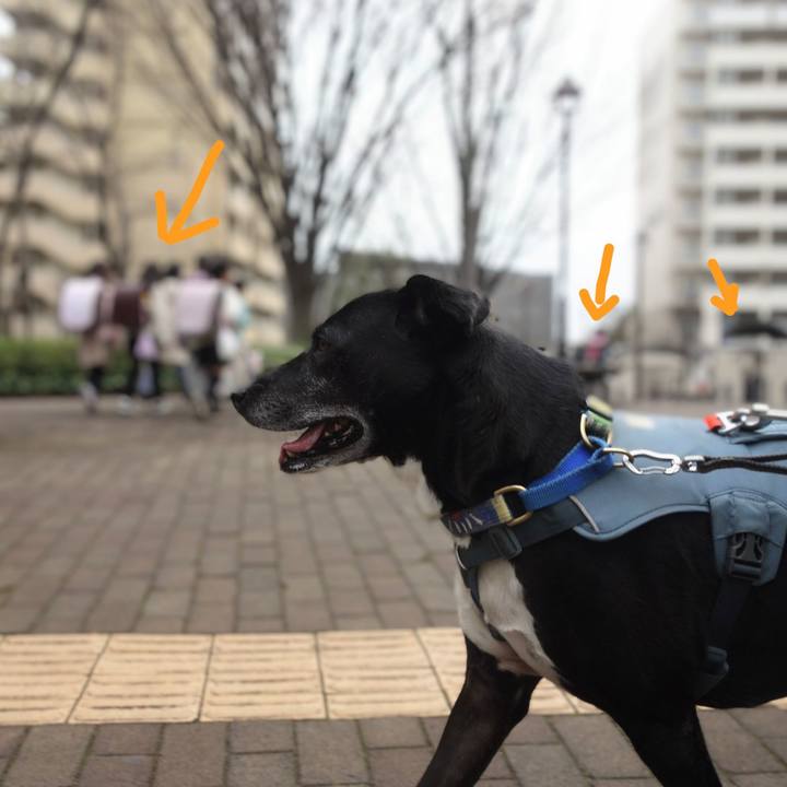 2b4663d2 5fff 420f 872d 282f1be5a2ae 1708393210336