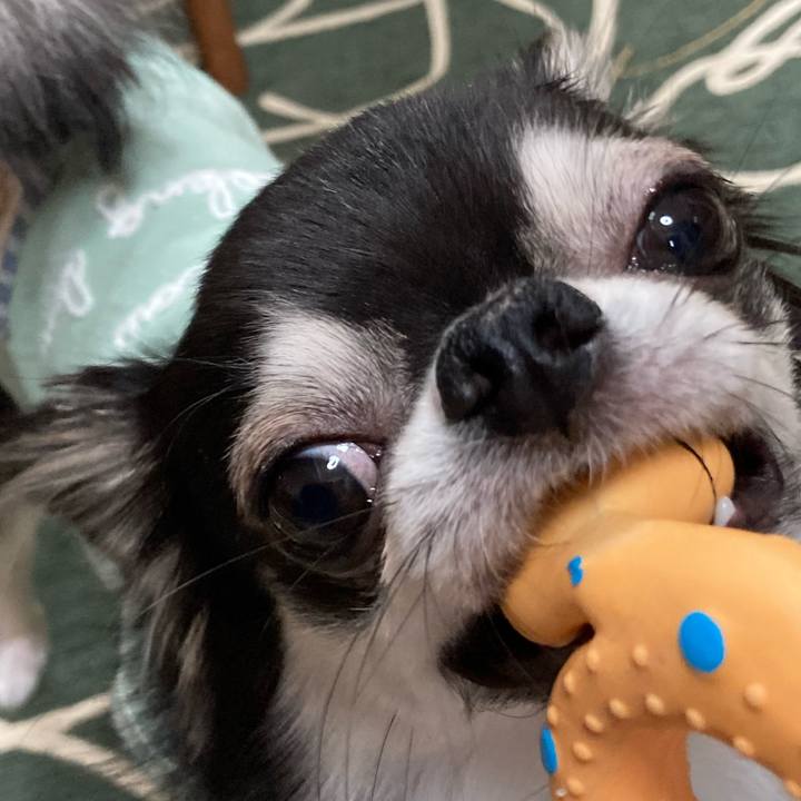 2b467208 b941 4315 97b2 19c35528d6b0 1647870221874