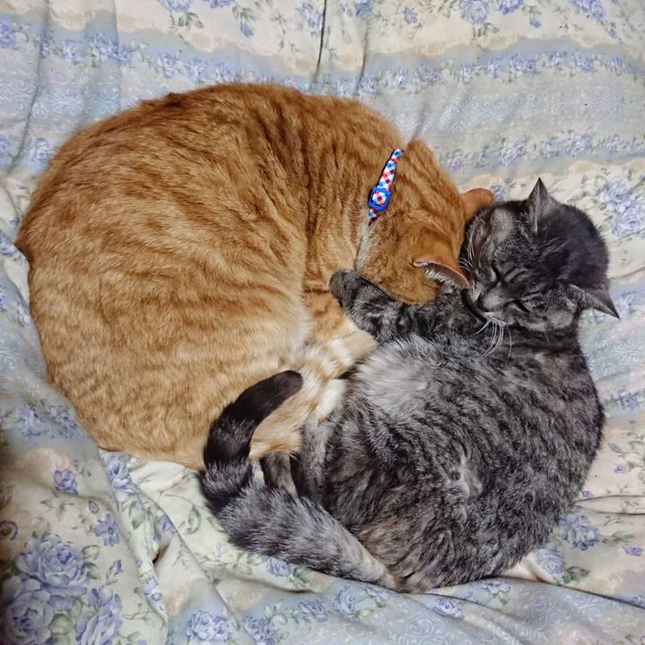 2b46bcb1 bc7a 426d a834 c60e88f61ad7 1576414603770