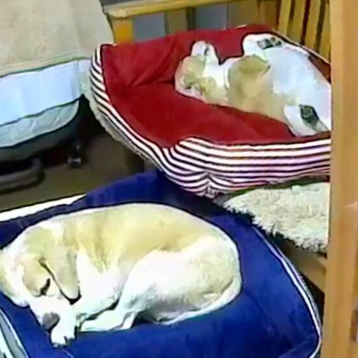 2b46e1de 8c48 4cbd 8f35 26dca8aad145 1564546441968