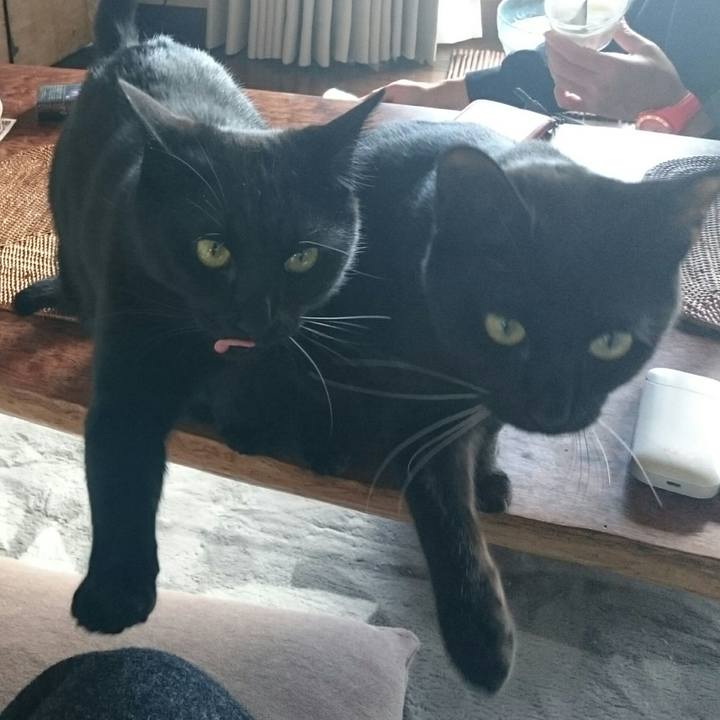 2b470a63 34c5 439f b571 7594476495e9 1514784086560