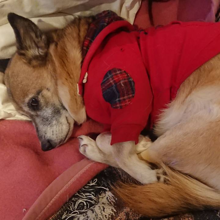 2b470c63 d9f4 4ff0 a5f4 4d101edbb81a 1518098076066