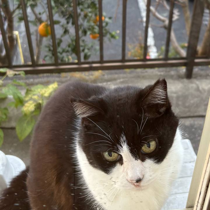 2b47158d 9884 4ea3 a68c 2bbec8a29127 1766364199501