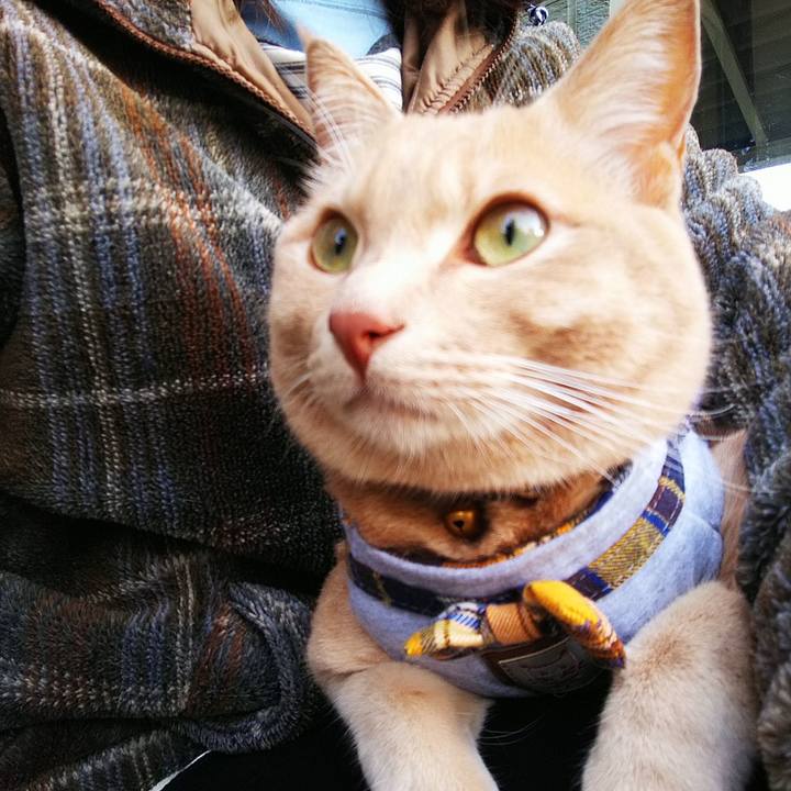 2b475562 7d5f 4c89 95d2 506f7359e613 1571868779621