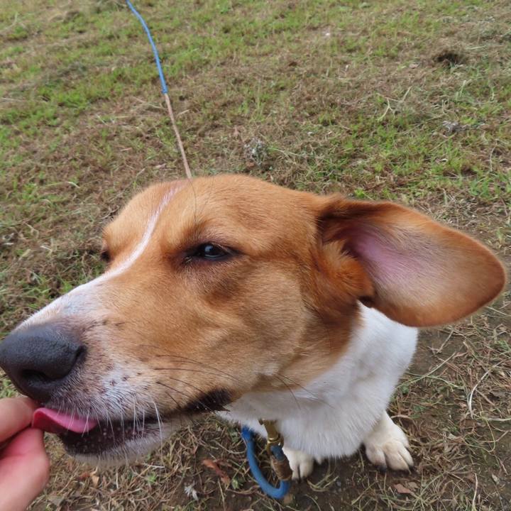 2b476eab fda2 471e a253 f91f1504ad60 1631920326847