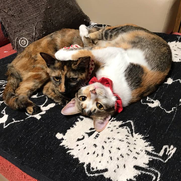 2b4770d4 3cd0 47a9 a43c 9609c9903f3e 1624144721172