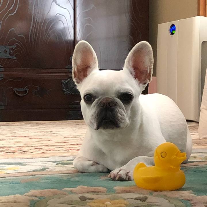 2b477821 4922 445f ae4f 6ebd6d4dfc49 1654002849069