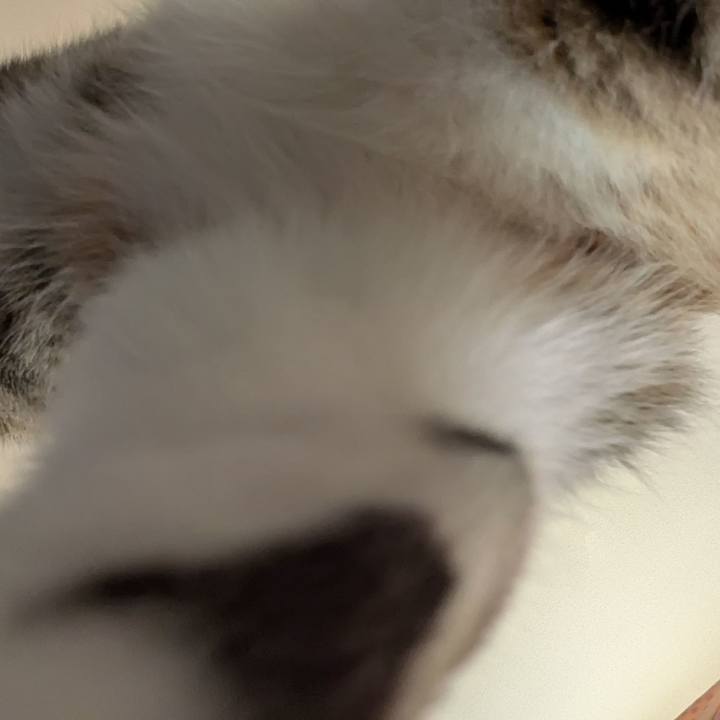 2b47a268 da5b 4ea7 bd86 2884eaa6d0d7 1764979134722