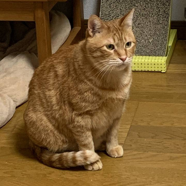 2b47b83d 975f 45cf 8942 de4ed2a91586 1583145712991