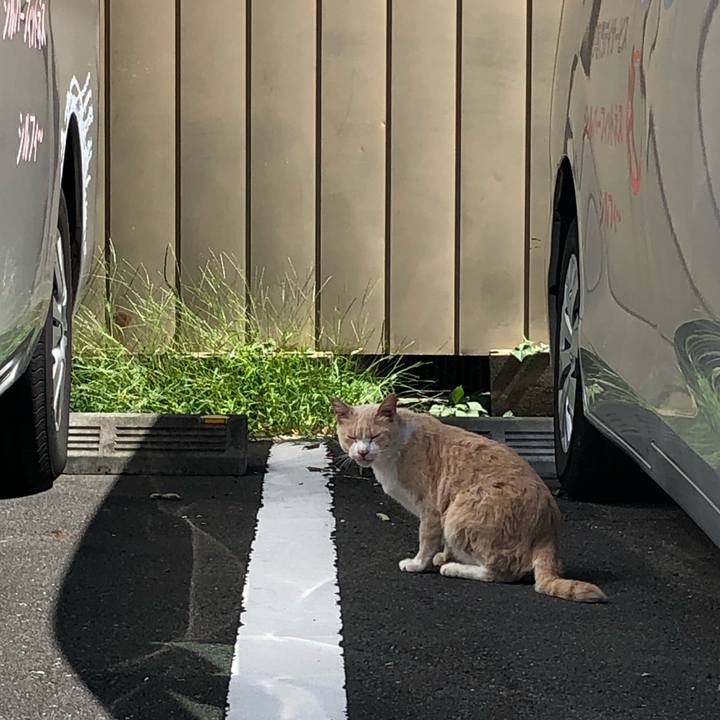 2b47d0ee 5bd3 4c0e 862d fb7a9f2ba998 1633430584615