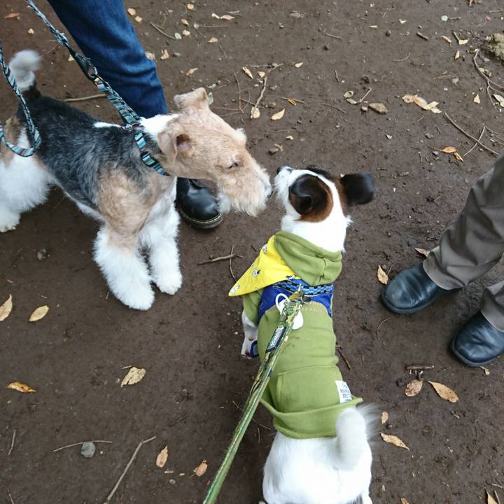 2b48086e c8bc 462c 8fef 07e0c8dda298 1509157804816