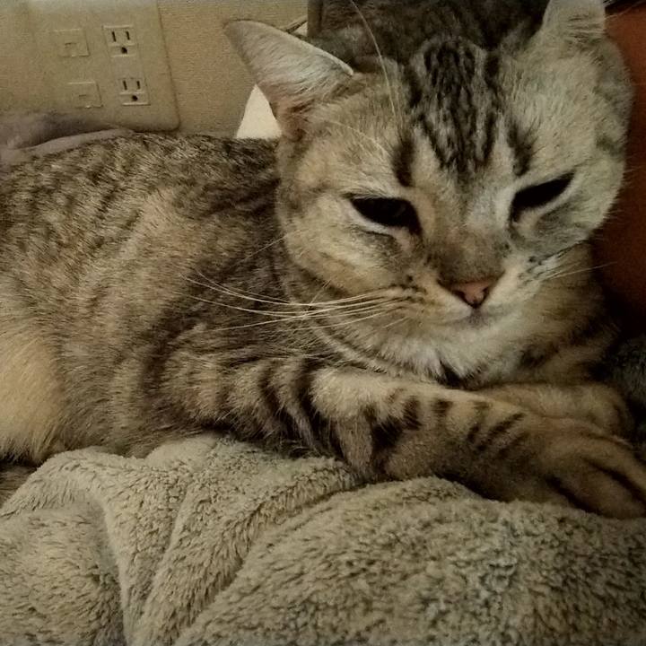 2b482640 609a 4daf a87f 3116a84c3144 1604711677604