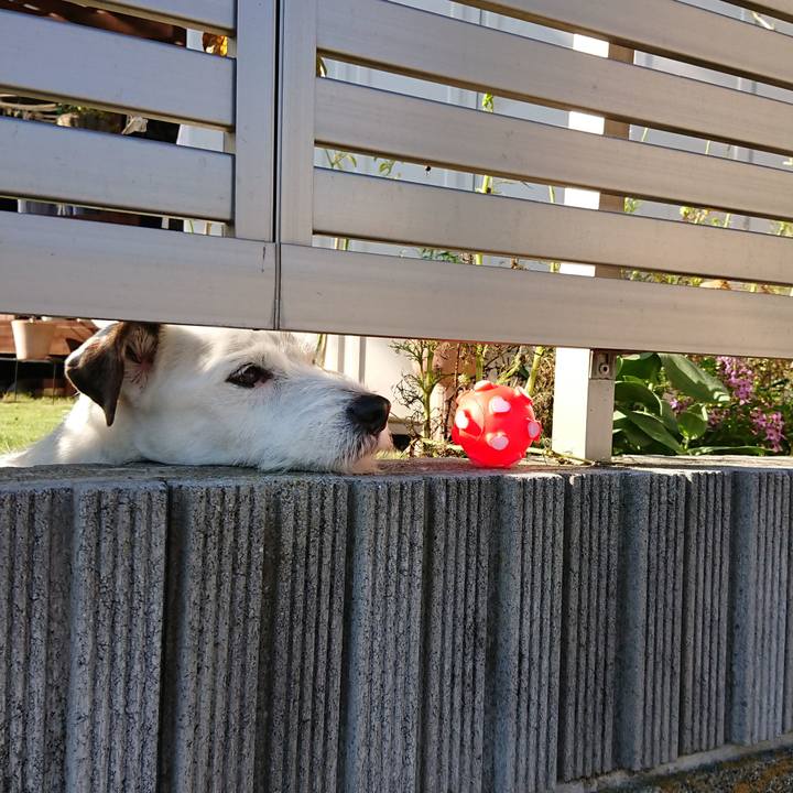 2b48603c bcaa 453f 8ec8 73a8c3edabbf 1566862225589