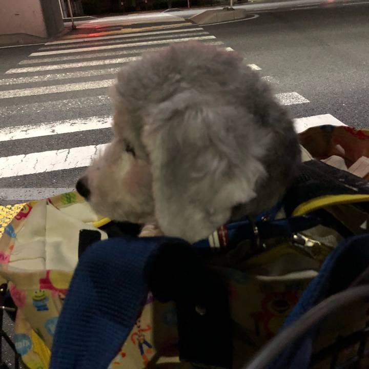 2b486c00 6805 422c b34a 95fa0ab78103 1667268748070