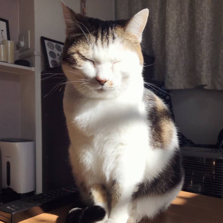 2b48c4b2 9478 452a b46f 47609a819fb1 1578279921026