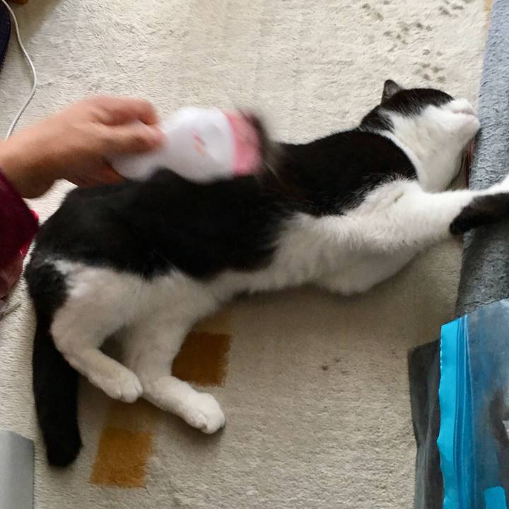 2b48e1b3 2c46 4b30 92ef bf9aa2388771 1525091065720