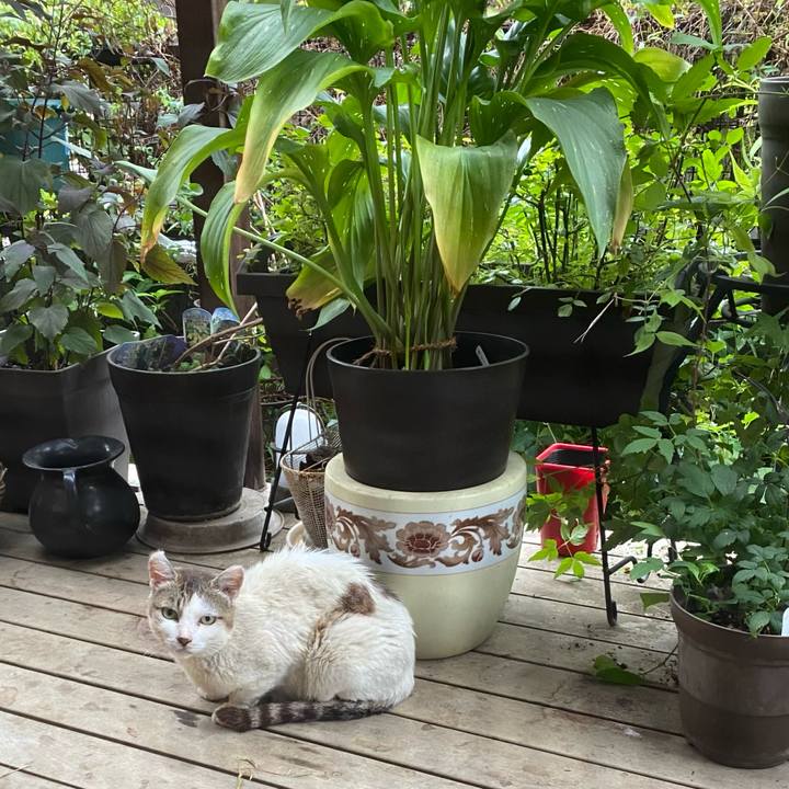 2b4930e3 1b34 456a 9ecd e7c8b626ef95 1721527367411