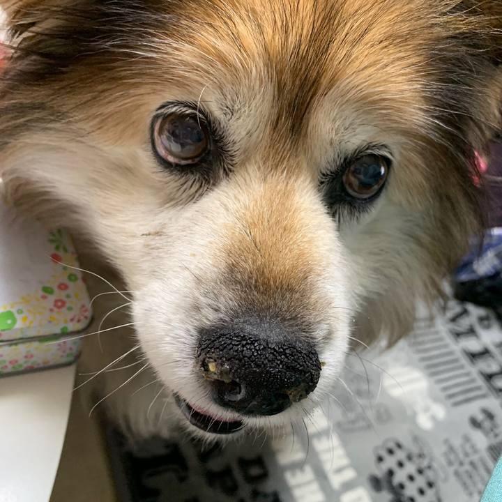 2b496f36 cd33 46c5 987a 18b235f10cc9 1551568233145