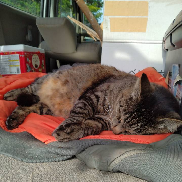 2b497831 f51c 48f5 a9f7 1907e1d8b0c2 1686006222961