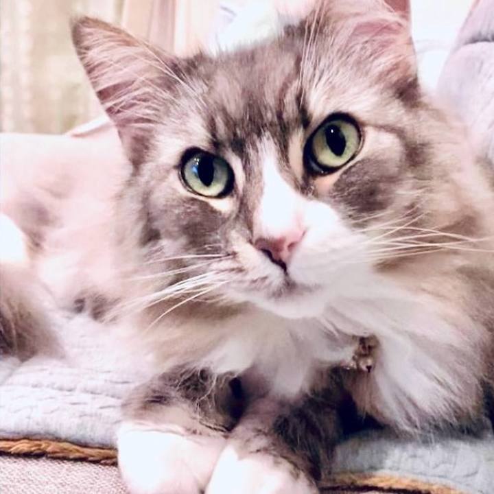 2b497f16 2690 4077 b609 518abde5c7c3 1752852285421