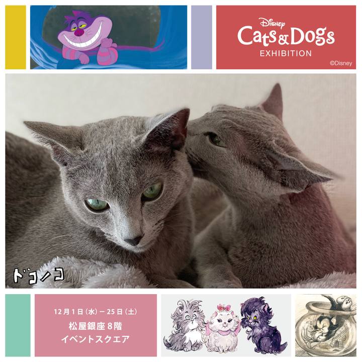 2b497f51 a661 418b ae7b 24a88f74f72d 1638340700623