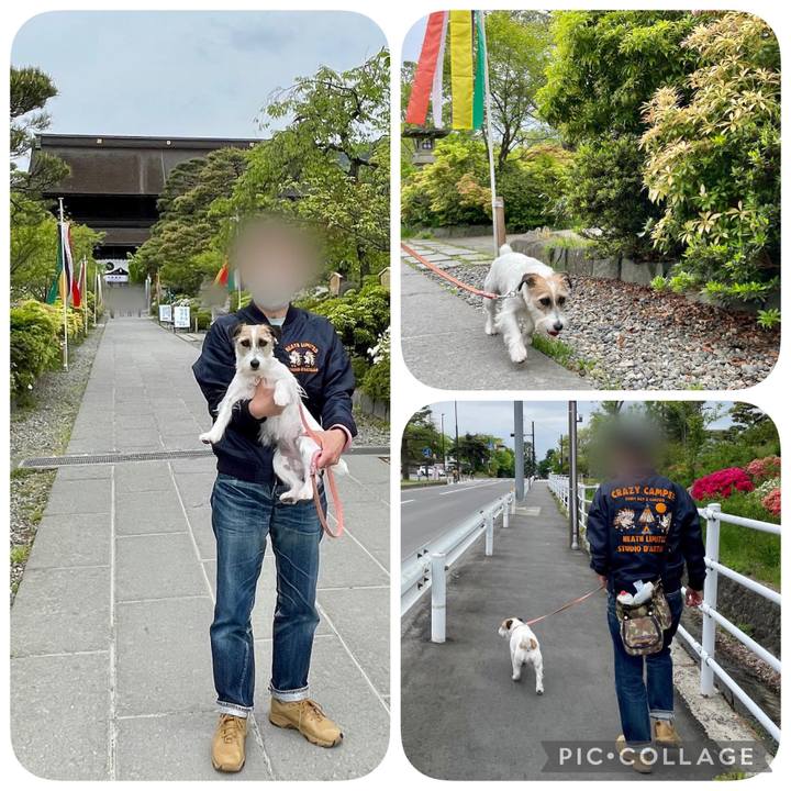 2b4987c0 bd40 479b 9e1a eca01cceb9ae 1652109810002