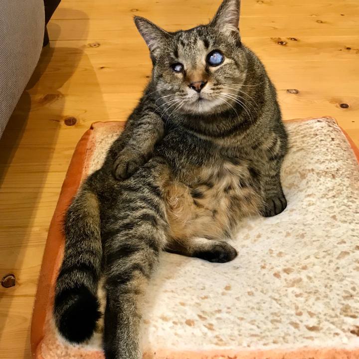 2b498bf6 6391 46d9 bbb0 863e15847355 1583811989738