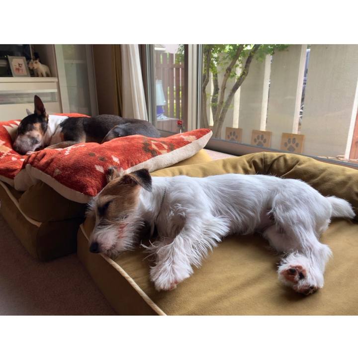 2b49a634 fd5f 4230 9991 6d9ee26a977c 1595651475979