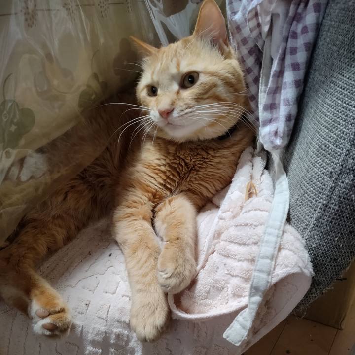 2b49cea4 ed4c 4d2d a150 932e9acac6b6 1681012255977