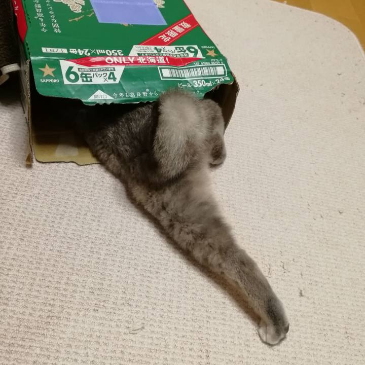 2b49d038 38e4 44f7 a654 129c8035dcbe 1549544838552