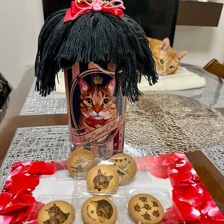 2b49df7f 5d7a 41c9 87c7 8971b79c645b 1644755446796