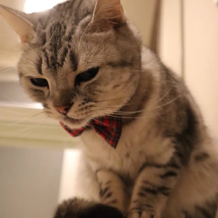 2b4a01af 59ea 40da ae0c 9230dbcc66de 1581809105277