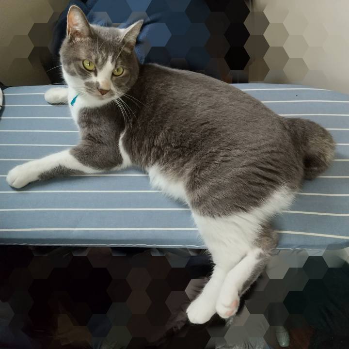 2b4a2668 8f5d 4aaf 9206 bb03c218300a 1629514103927