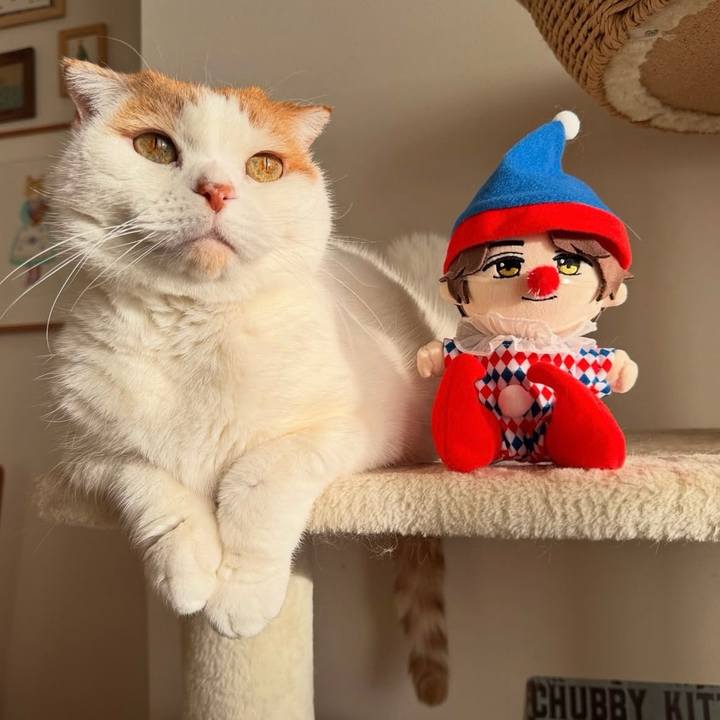 2b4a403a aa4a 49b7 9c48 9ee0fe9408fd 1768232300587